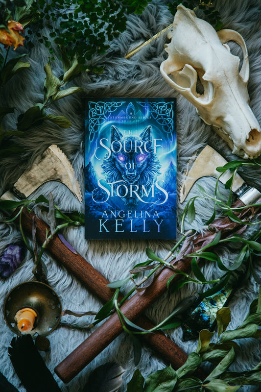 The Source of Storms Paperback - The Stormbound Series Book One