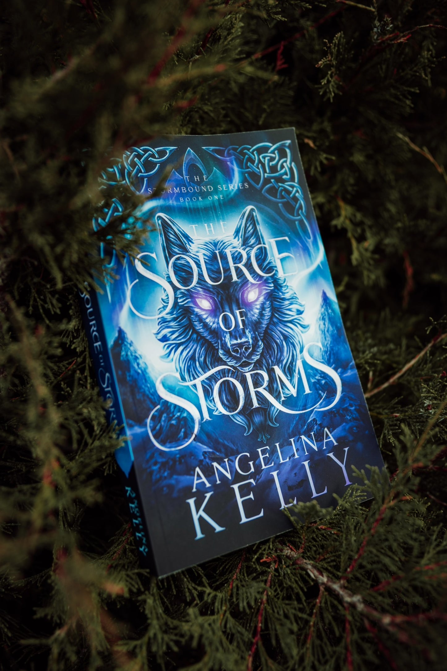 The Source of Storms Paperback - The Stormbound Series Book One