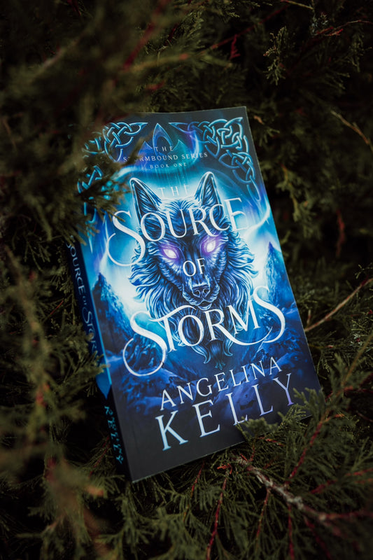 The Source of Storms Paperback - The Stormbound Series Book One