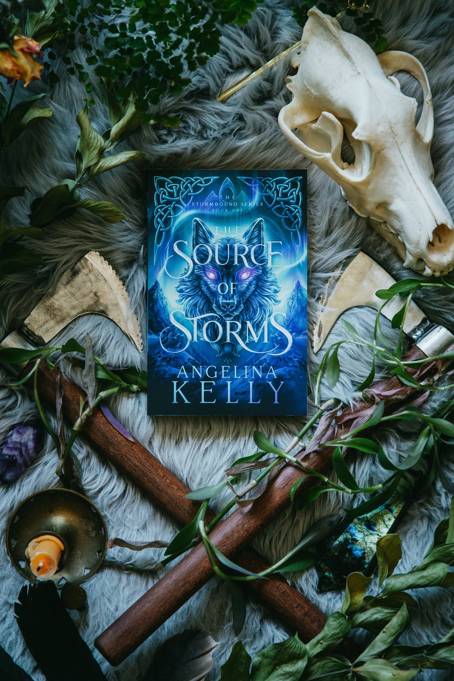 The Source of Storms Paperback - The Stormbound Series Book One