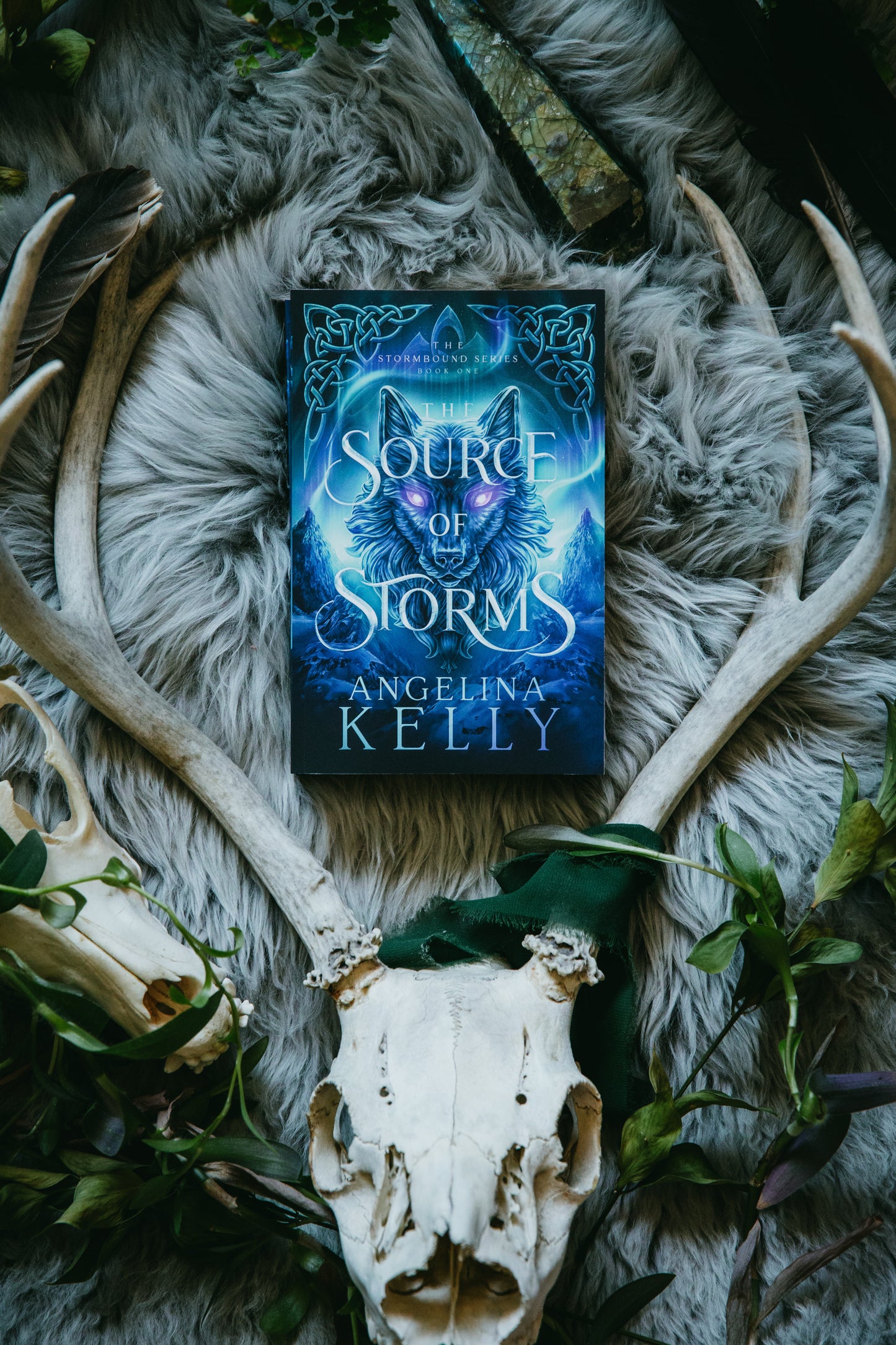 The Source of Storms Paperback - The Stormbound Series Book One
