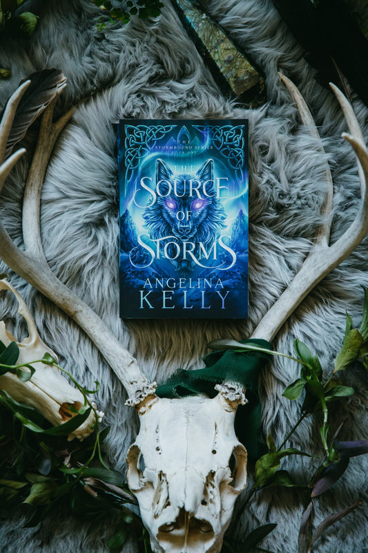 The Source of Storms Paperback - The Stormbound Series Book One
