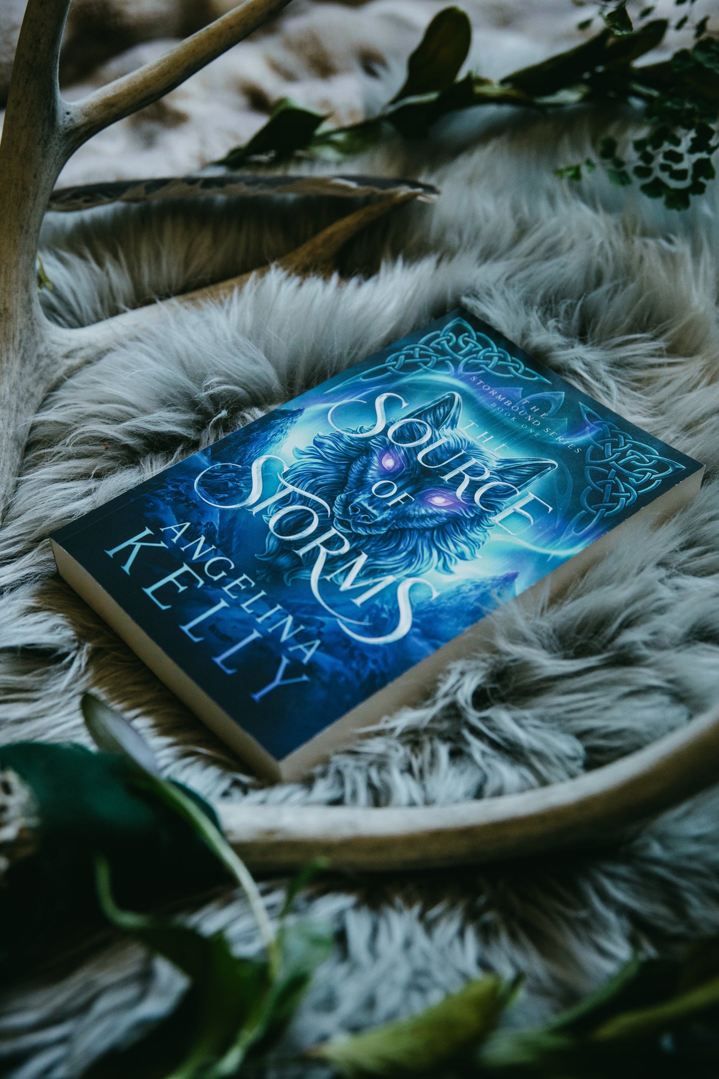 The Source of Storms Paperback - The Stormbound Series Book One
