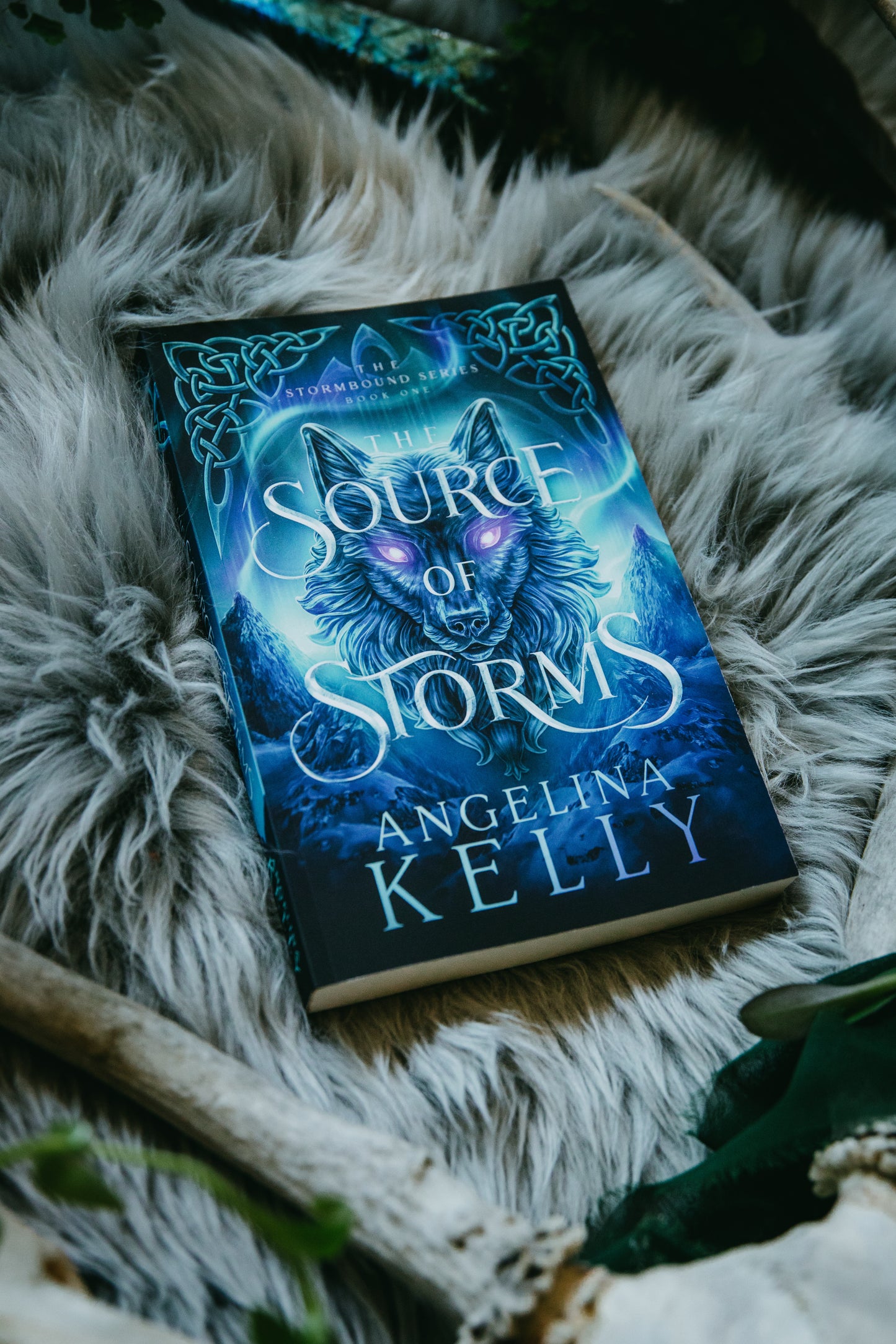 The Source of Storms Paperback - The Stormbound Series Book One