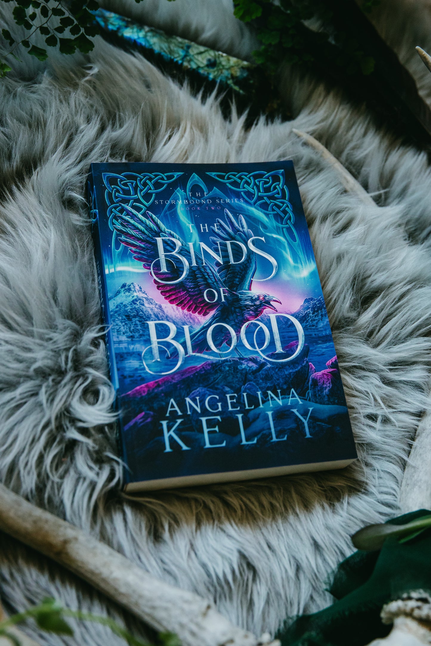 The Binds of Blood Paperback - The Stormbound Series Book Two