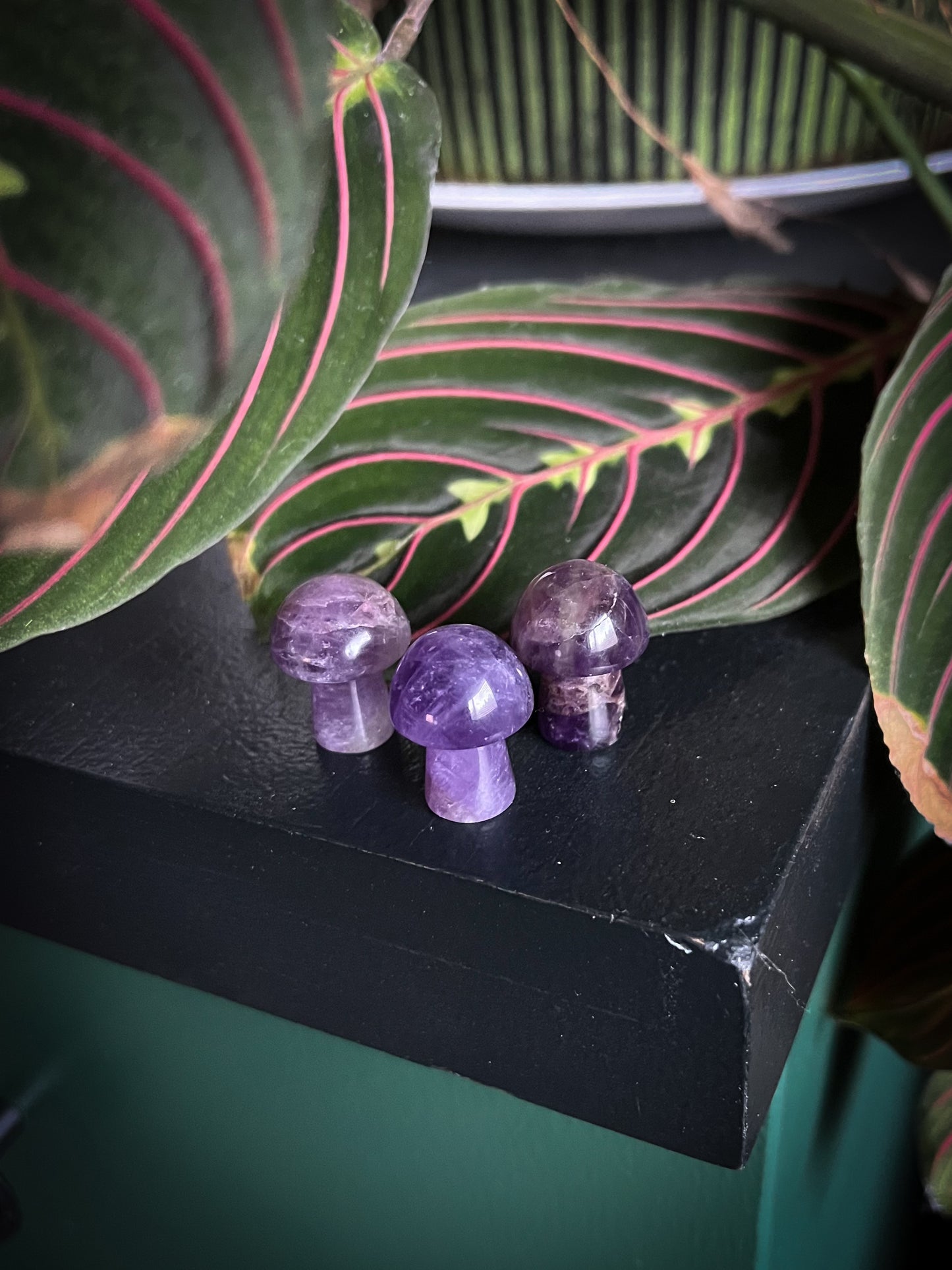 Stormbound Series PR Box