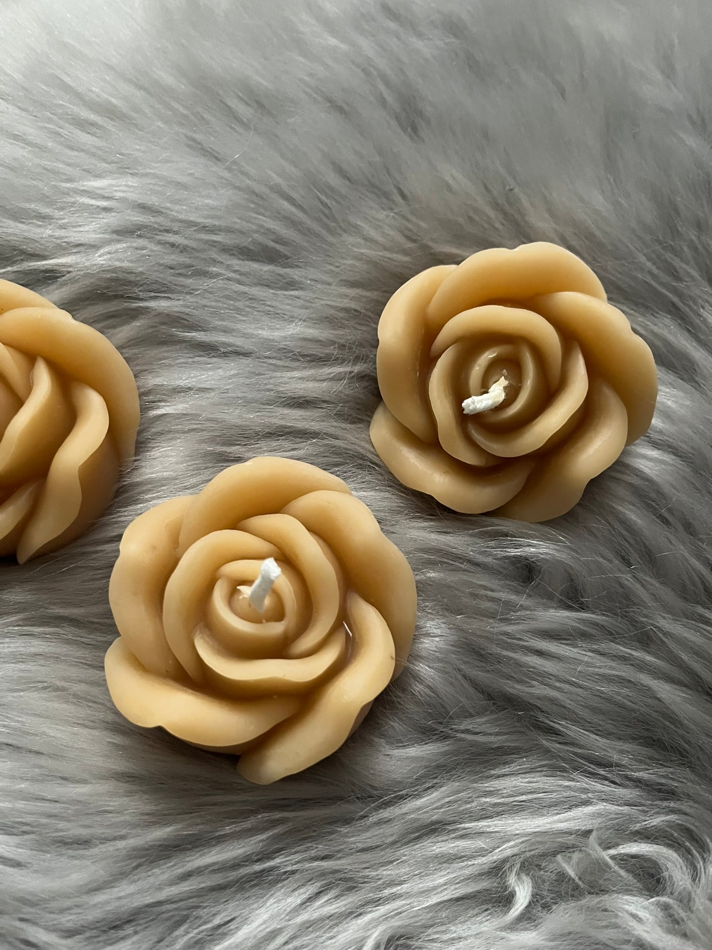 Stormbound Series PR Box