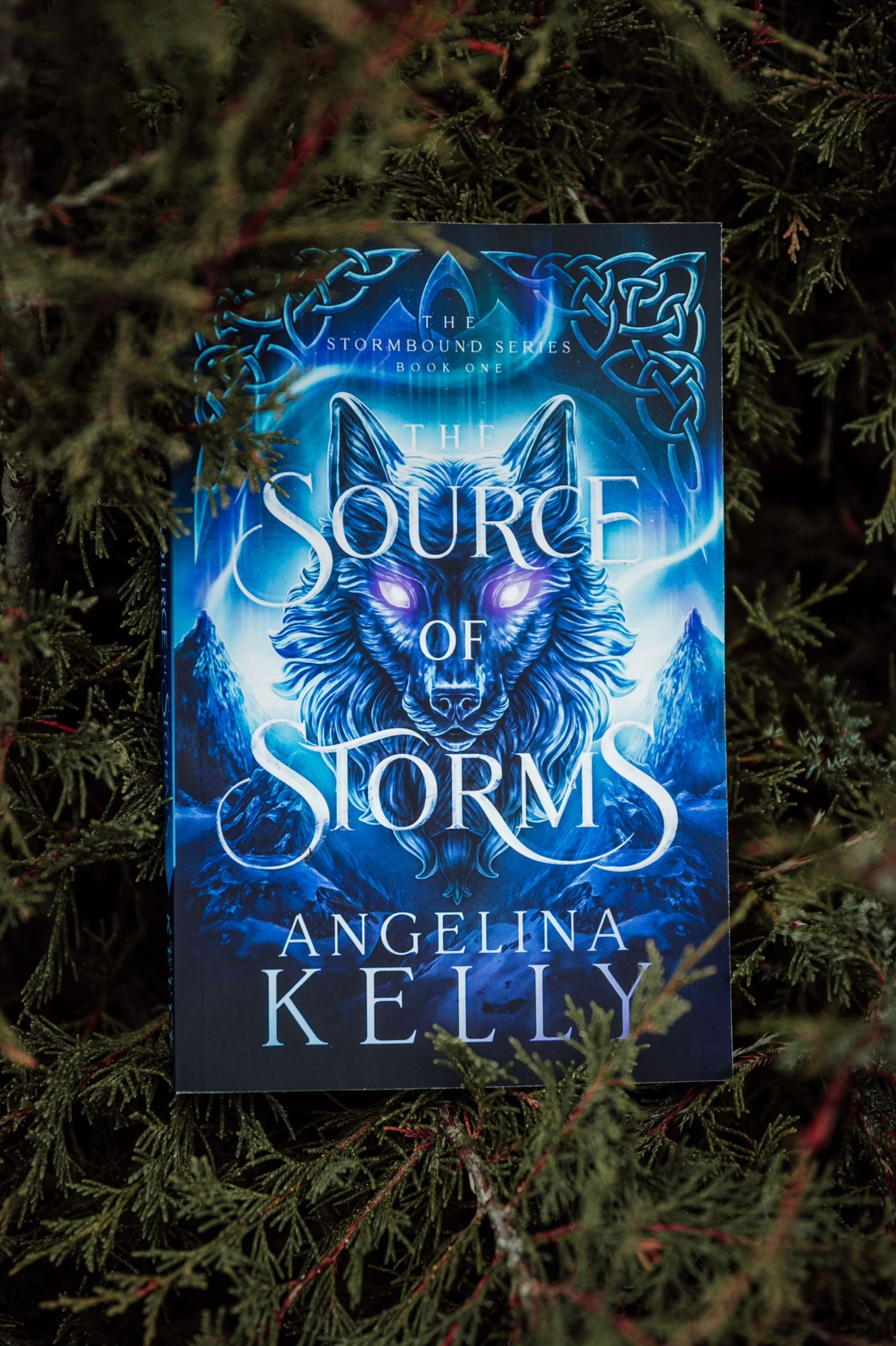 The Source of Storms Paperback - The Stormbound Series Book One